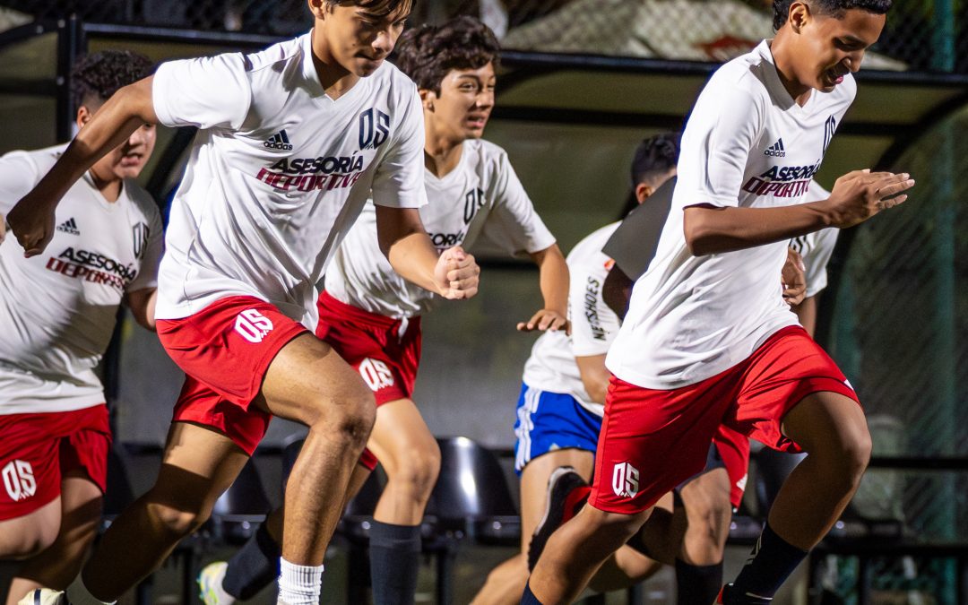 DSM Entrenamiento en Panamá: Resultados 2025 y Proyección 2026